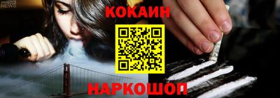 тгк Кингисепп