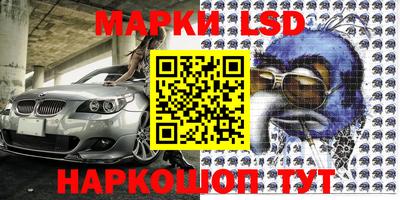 тгк Кингисепп