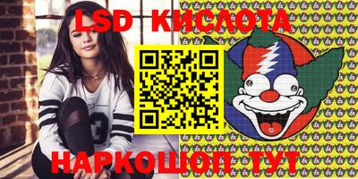 тгк Кингисепп