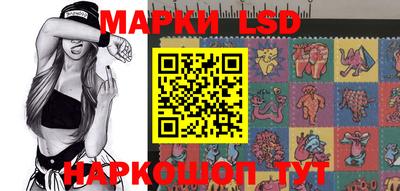 тгк Кингисепп
