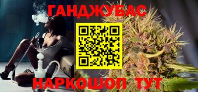 тгк Кингисепп