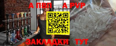 тгк Кингисепп
