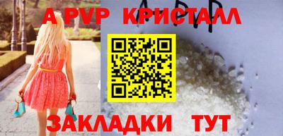 тгк Кингисепп