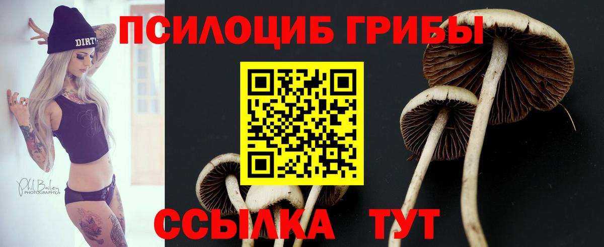 Псилоцибиновые грибы Cubensis  Вход с VPN  Комсомольск-на-Амуре 